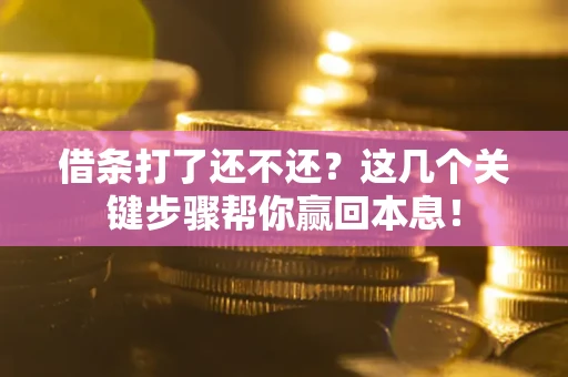 武汉借条打了还不还？这几个关键步骤帮你赢回本息！