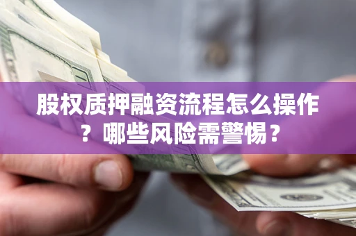 武汉股权质押融资流程怎么操作？哪些风险需警惕？