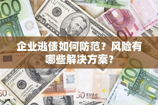 武汉企业逃债如何防范？风险有哪些解决方案？