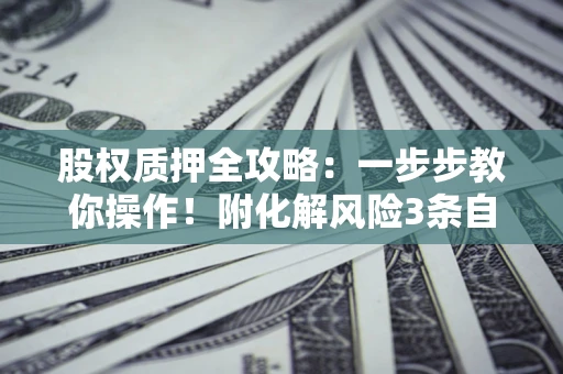 武汉股权质押全攻略：一步步教你操作！附化解风险3条自救法则