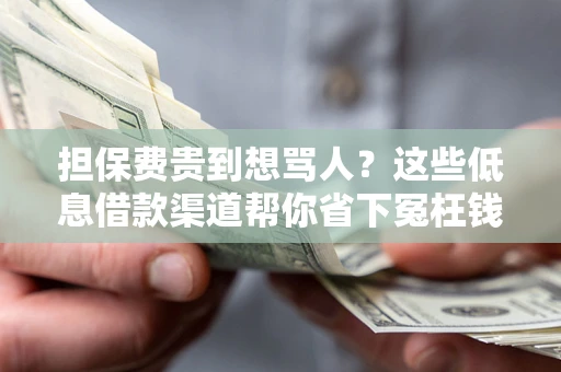 武汉担保费贵到想骂人？这些低息借款渠道帮你省下冤枉钱