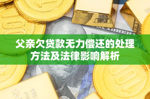 武汉父亲欠贷款无力偿还的处理方法及法律影响解析
