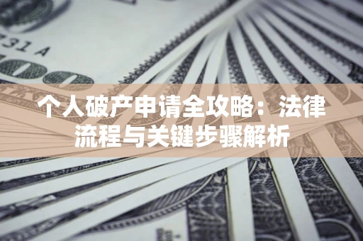 武汉个人破产申请全攻略：法律流程与关键步骤解析