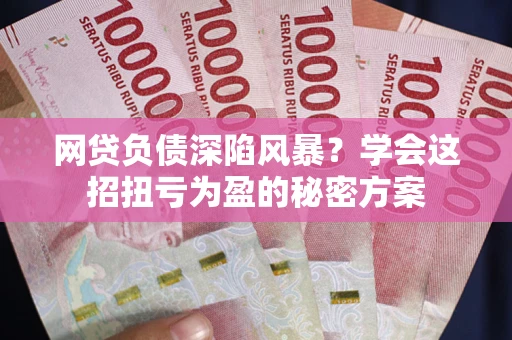 武汉网贷负债深陷风暴？学会这招扭亏为盈的秘密方案